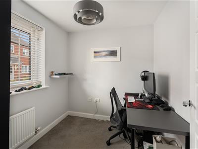 Picture 13